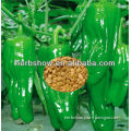 All Kinds Of Green/Red/ Hybird F1/Chili Seeds Pepper Seeds